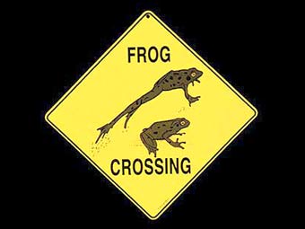 Дорожный знак, предупреждающий о миграции лягушек. Иллюстрация с сайта FROGNIRVANA.COM